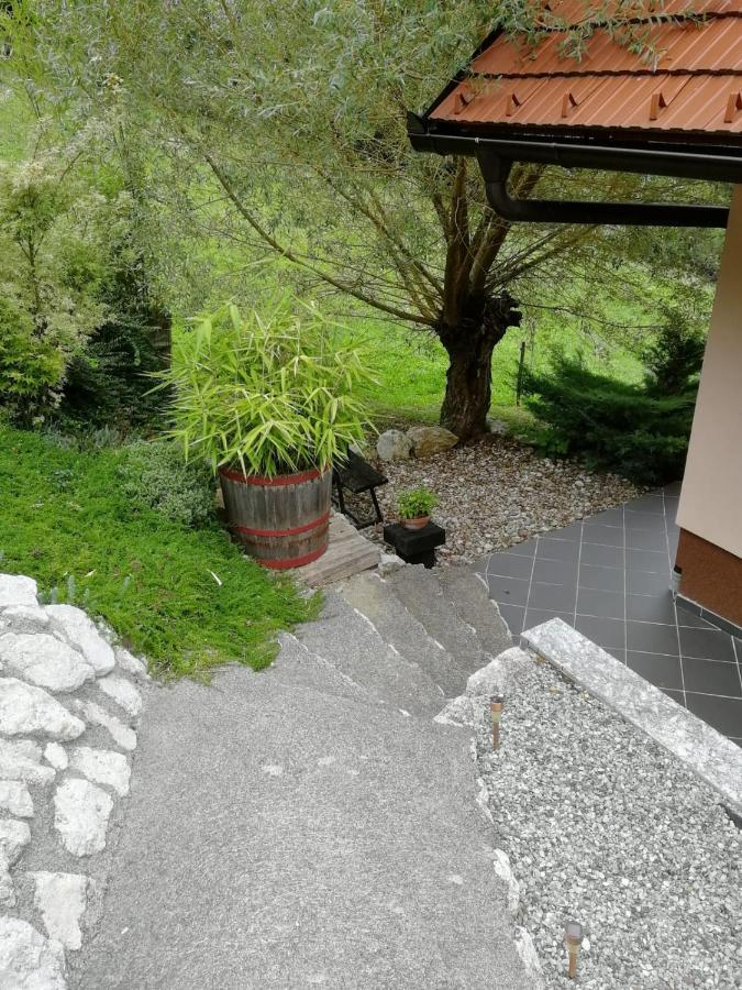 Villa Issy View House à Senovo Extérieur photo